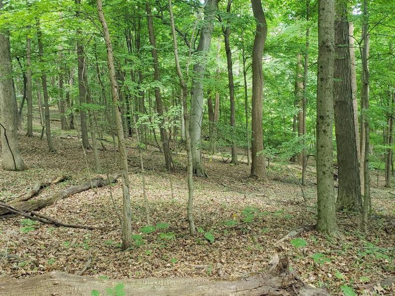 0 Mulberry Road, Mount Perry, OH 43760 Photo 14