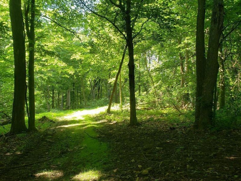 0 Mulberry Road, Mount Perry, OH 43760 Photo 3