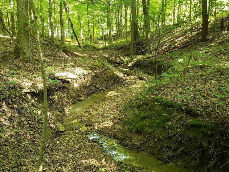 0 Mulberry Road, Mount Perry, OH 43760 Photo 4