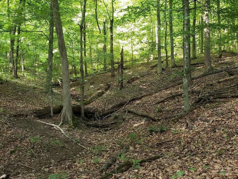 0 Mulberry Road, Mount Perry, OH 43760 Photo 5