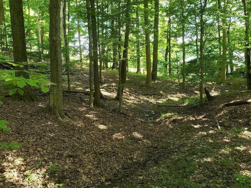 0 Mulberry Road, Mount Perry, OH 43760 Photo 6