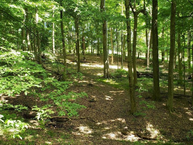 0 Mulberry Road, Mount Perry, OH 43760 Photo 7