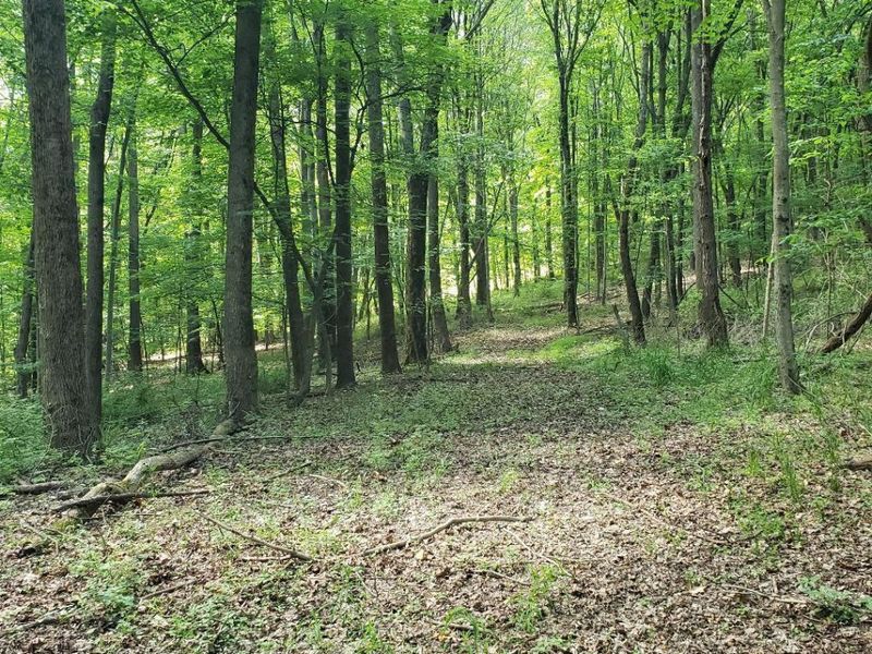 0 Mulberry Road, Mount Perry, OH 43760 Photo 8