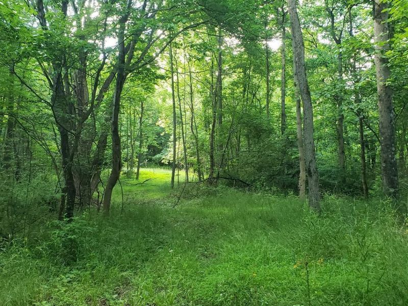 0 Mulberry Road, Mount Perry, OH 43760 Photo 9