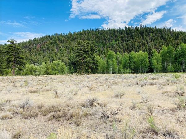 7 Massey Creek Road, Antonito, CO 81120