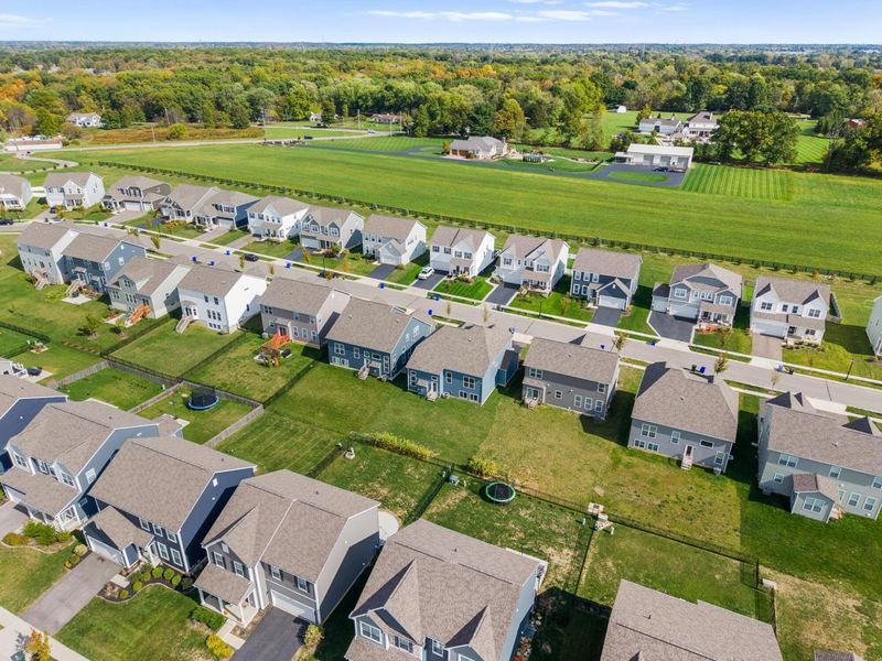 6553 Bowery Peak Lane, Westerville, OH 43081 Photo 45