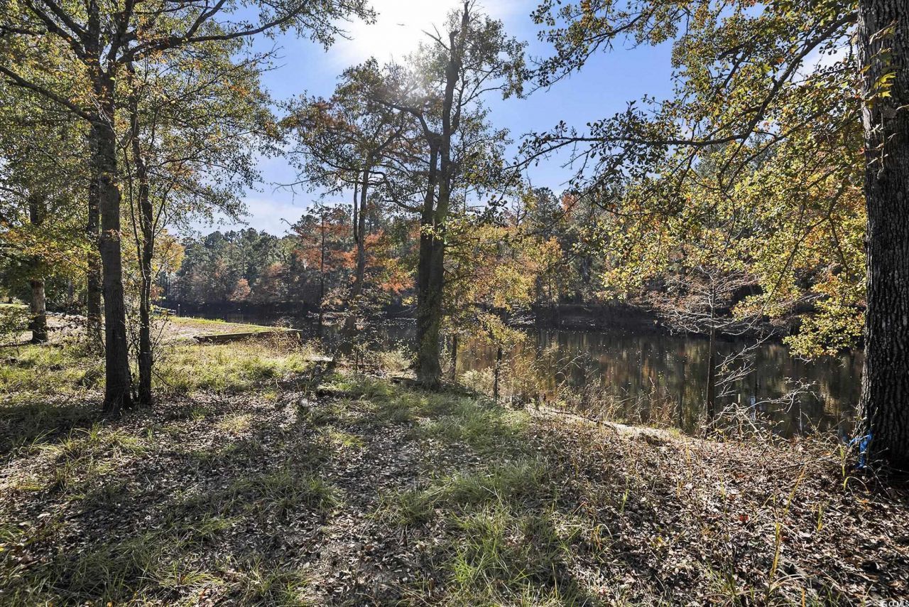 104 Lure Ct. Photo 10