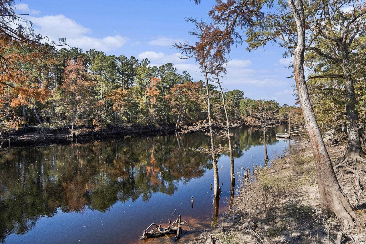 104 Lure Ct. Photo 11