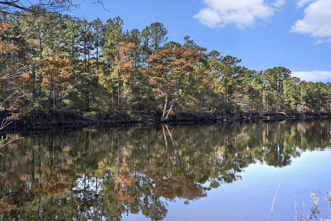 104 Lure Ct. Photo 12