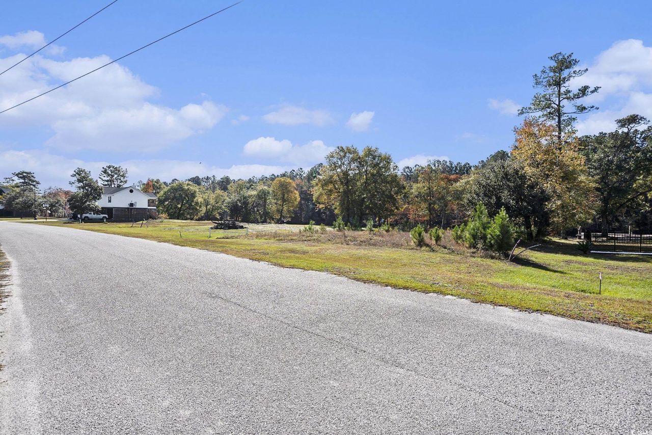 104 Lure Ct. Photo 6