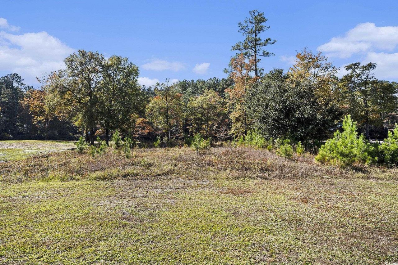 104 Lure Ct. Photo 7