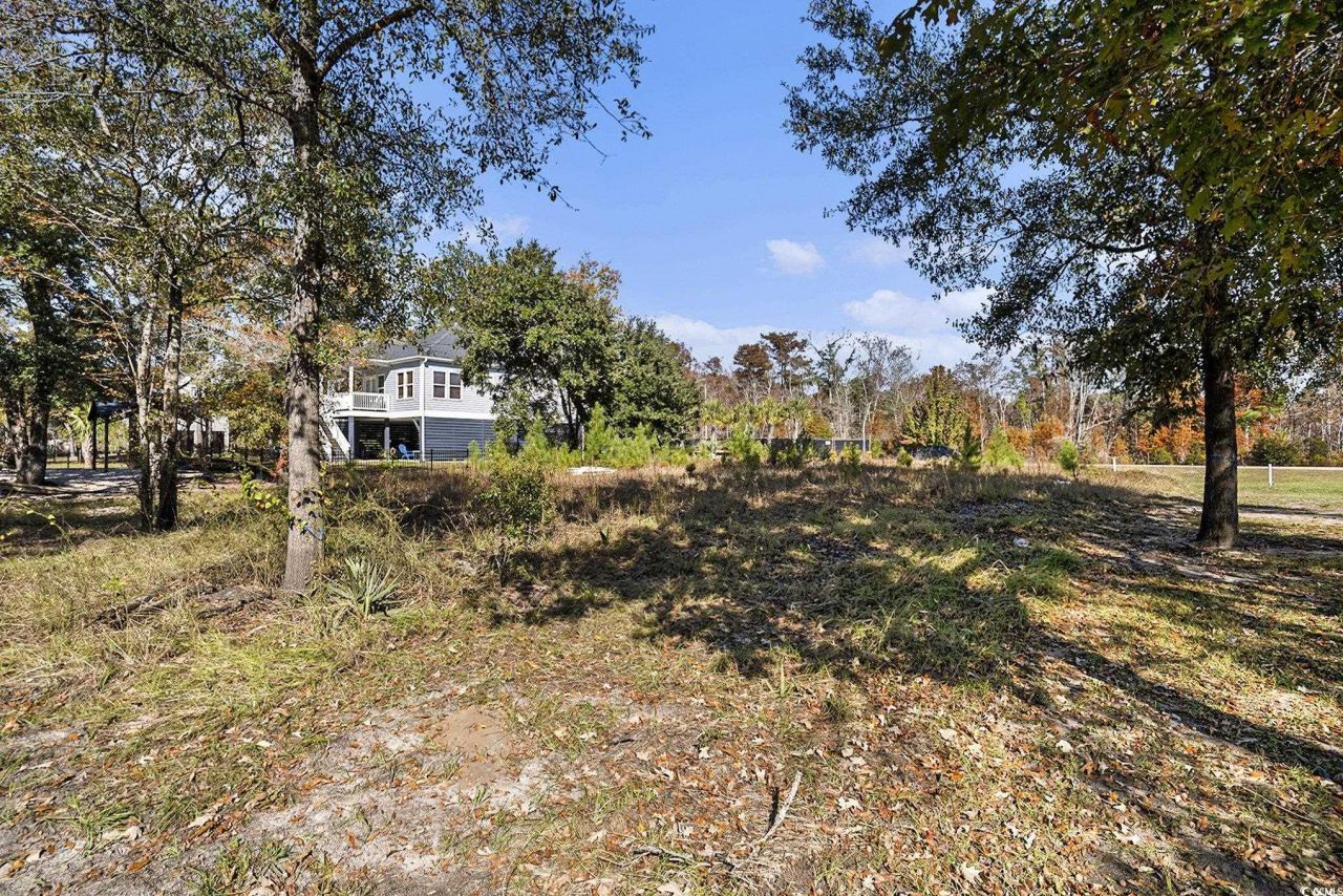 104 Lure Ct. Photo 9