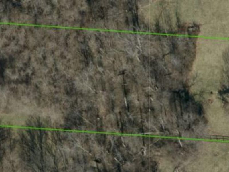 10081 Timbercreek Drive, Union, KY 41091 Photo 45