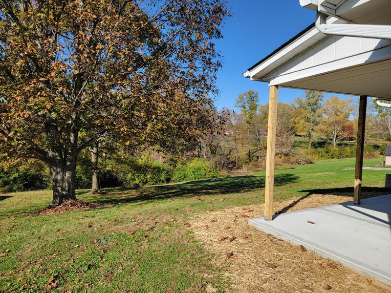 10081 Timbercreek Drive, Union, KY 41091 Photo 8