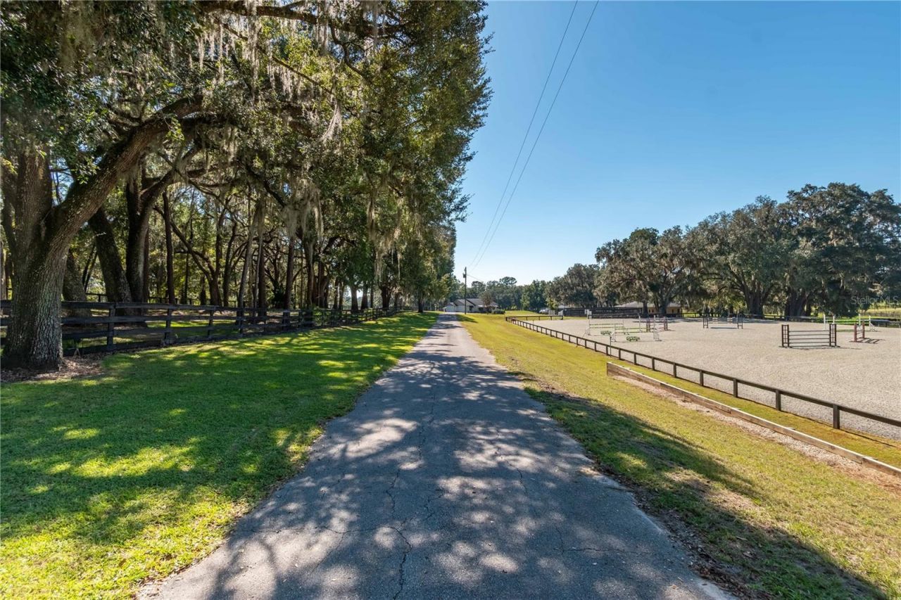 8820 NW 130th Street, Reddick, FL 32686 Photo