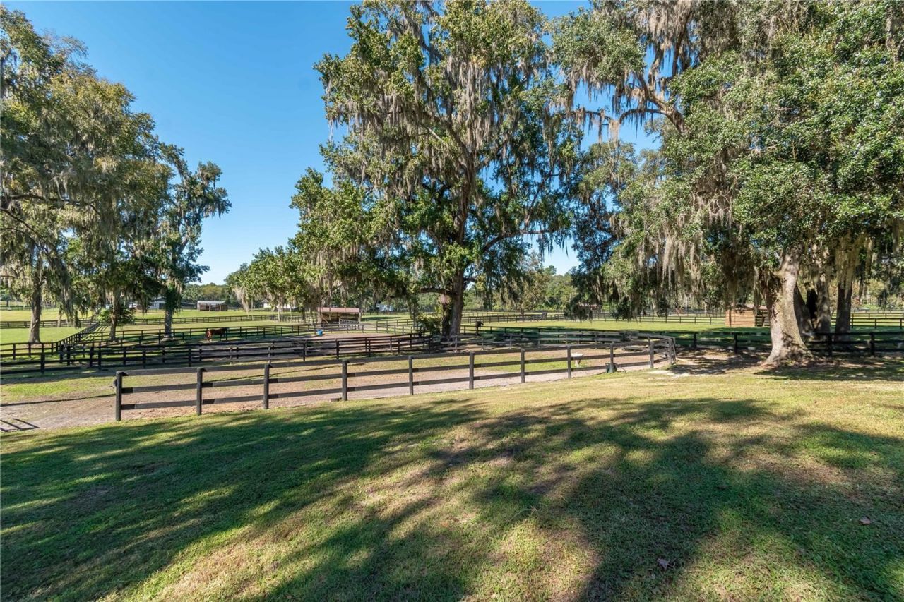 8820 NW 130th Street, Reddick, FL 32686 Photo