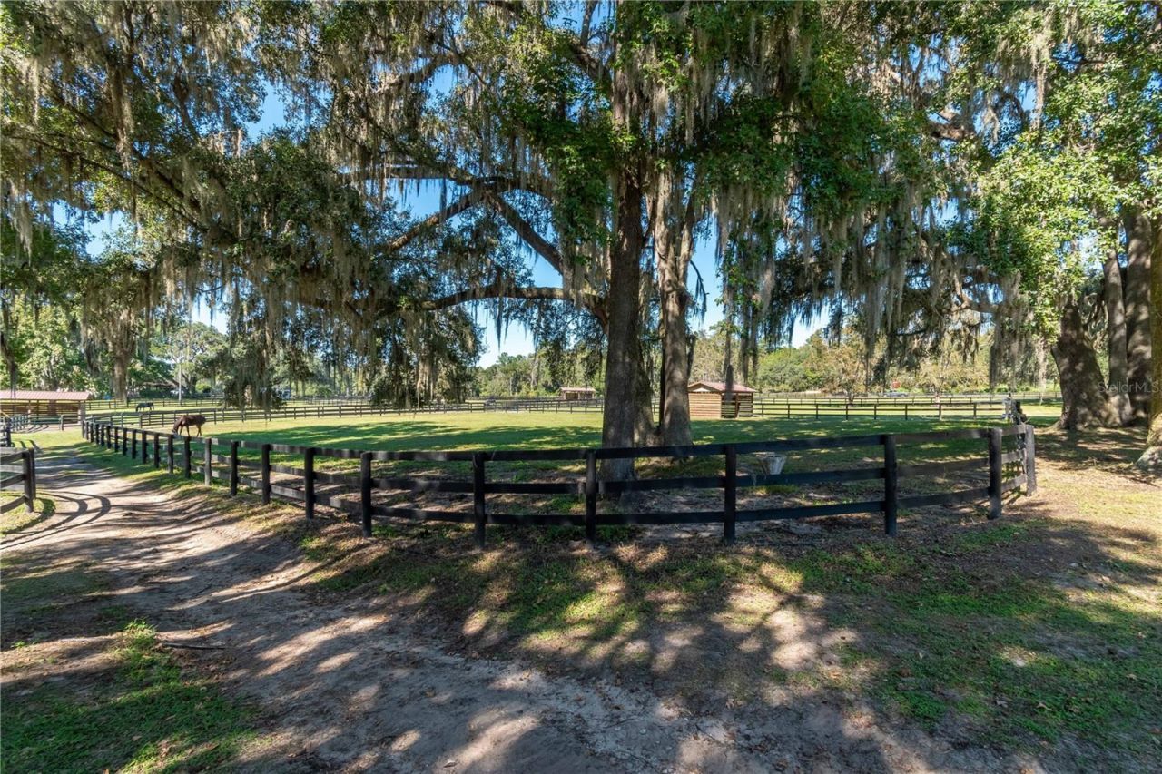 8820 NW 130th Street, Reddick, FL 32686 Photo