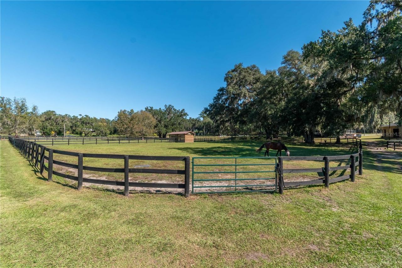 8820 NW 130th Street, Reddick, FL 32686 Photo