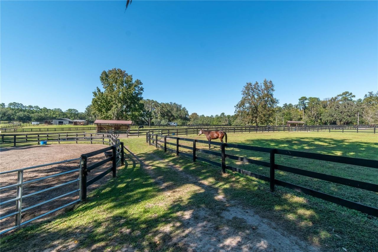 8820 NW 130th Street, Reddick, FL 32686 Photo