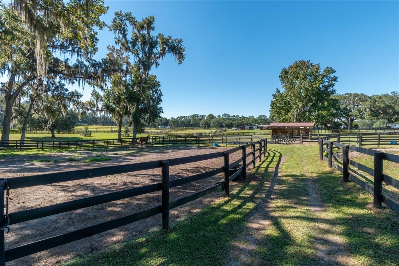 8820 NW 130th Street, Reddick, FL 32686 Photo