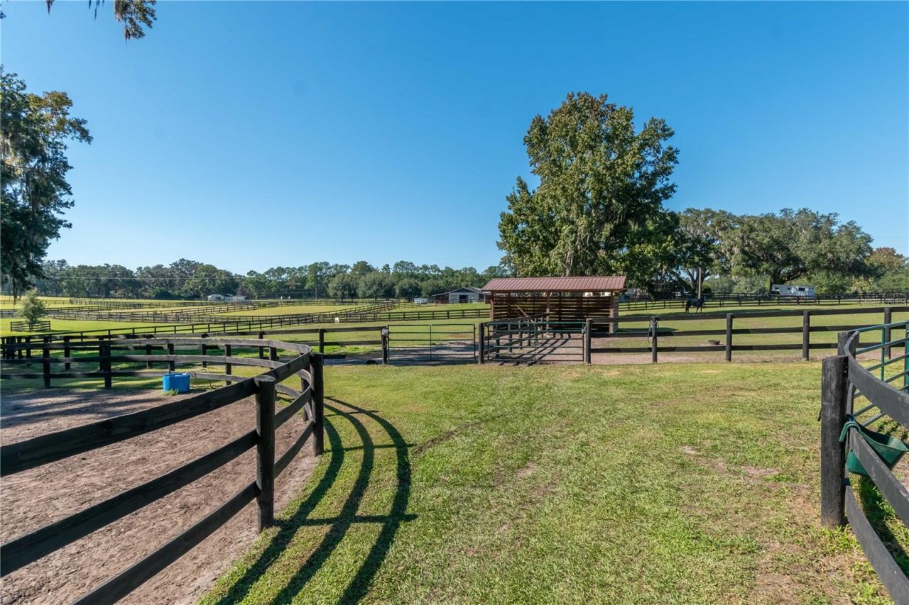 8820 NW 130th Street, Reddick, FL 32686 Photo