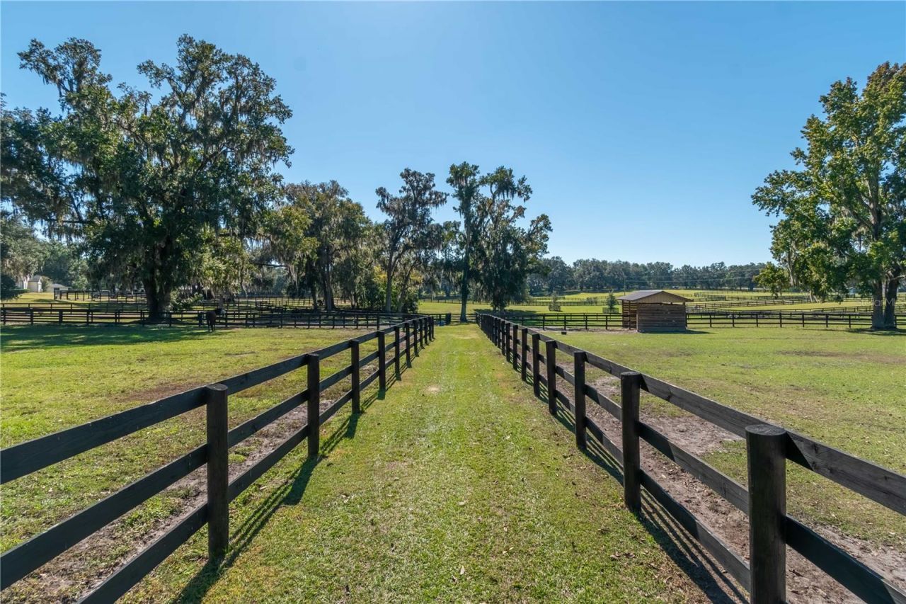 8820 NW 130th Street, Reddick, FL 32686 Photo