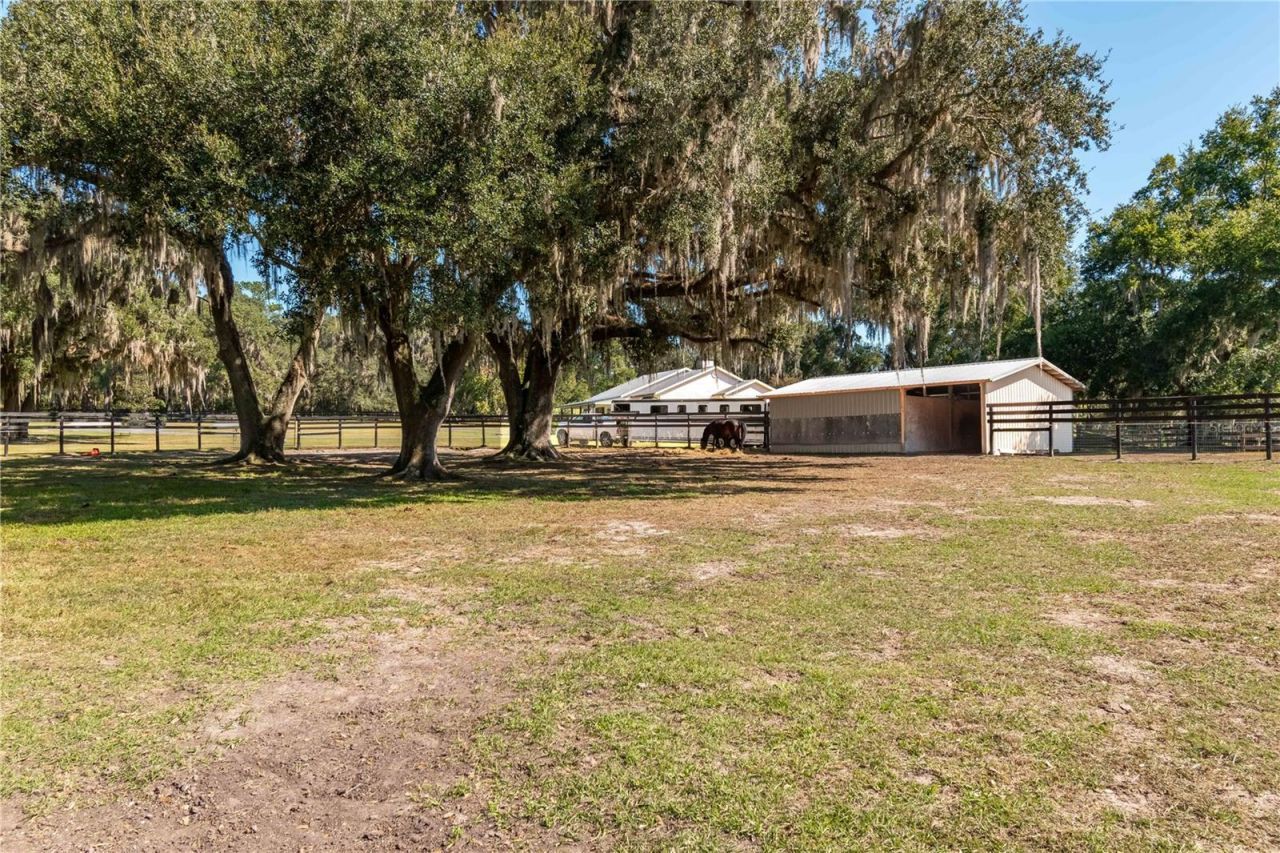 8820 NW 130th Street, Reddick, FL 32686 Photo