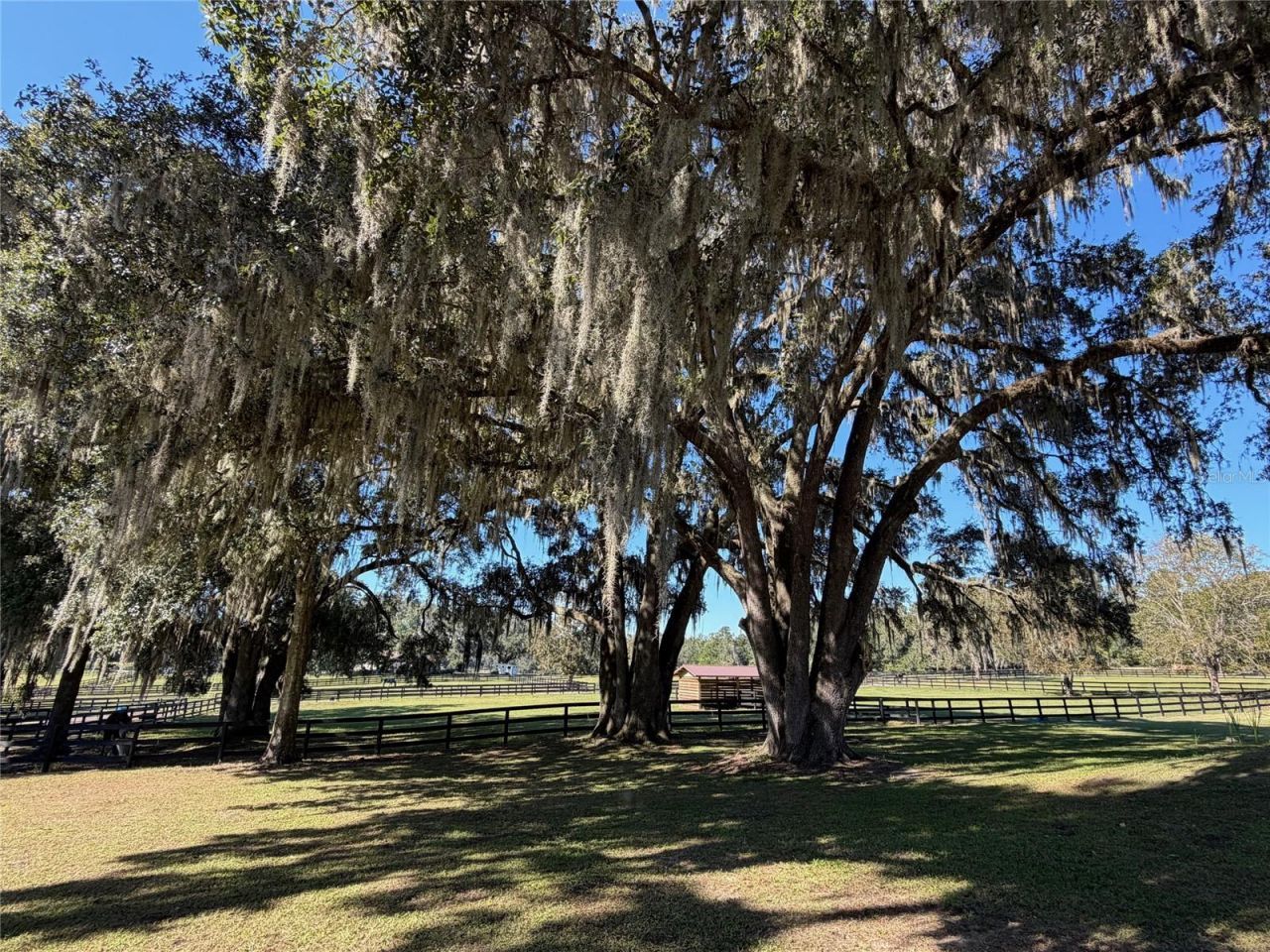 8820 NW 130th Street, Reddick, FL 32686 Photo