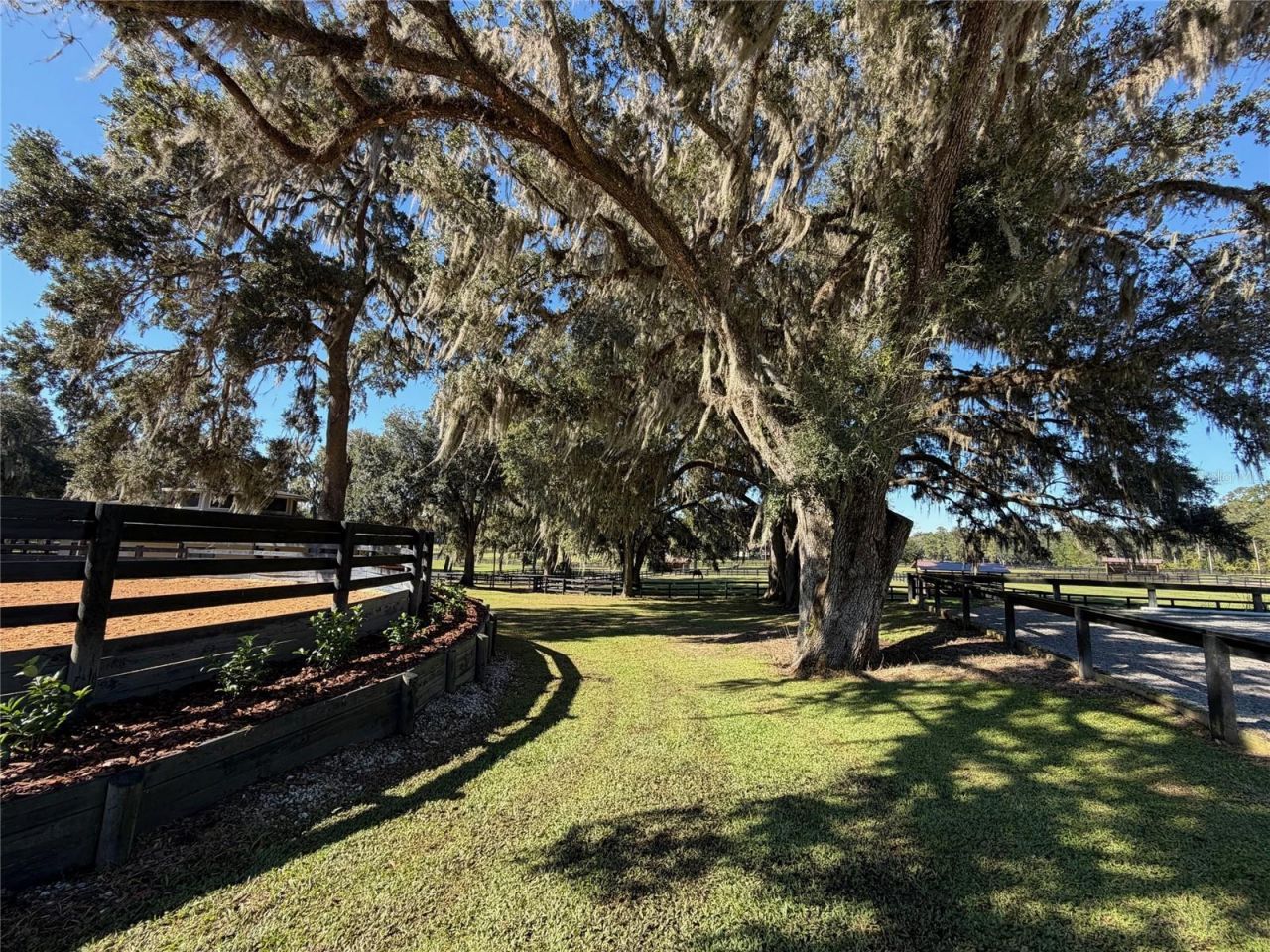 8820 NW 130th Street, Reddick, FL 32686 Photo