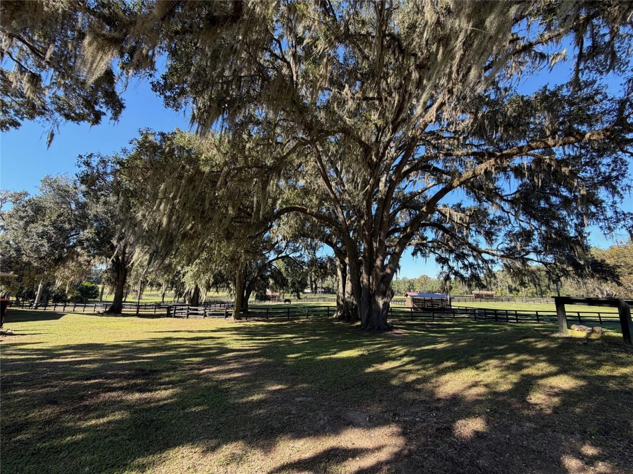 8820 NW 130th Street, Reddick, FL 32686 Photo