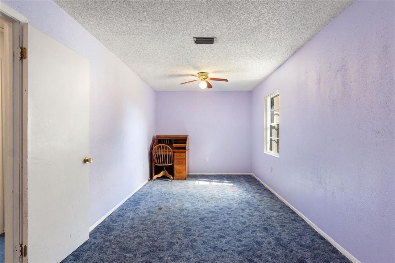 221 Dorothy Street, Auburndale, FL 33823 Photo