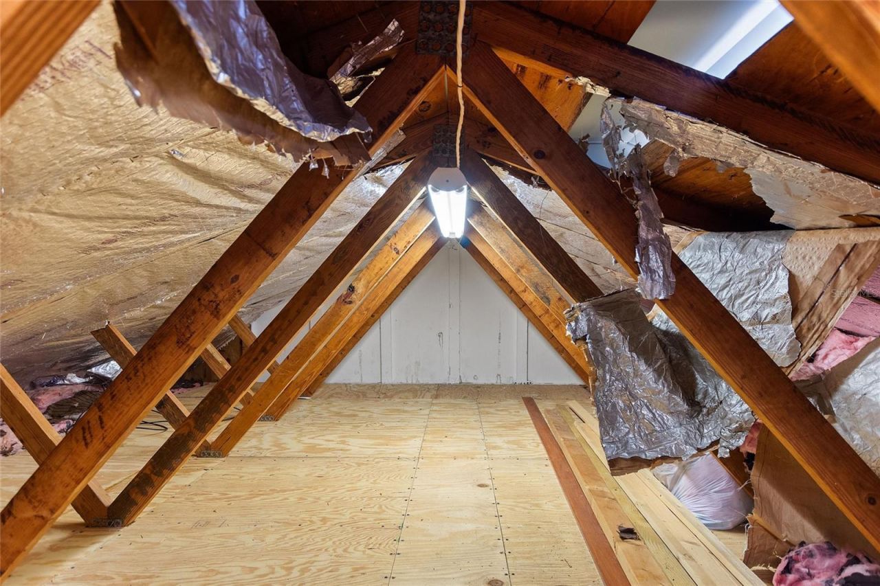 221 Dorothy Street, Auburndale, FL 33823 Photo