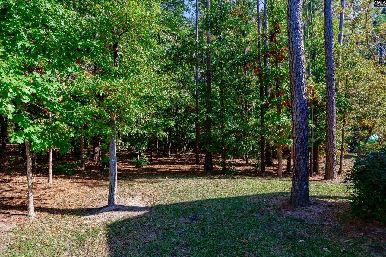 825 Hidden Point Drive Photo 71