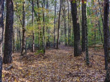 LOT B LINK EVANS LN, Earlysville, VA 22936