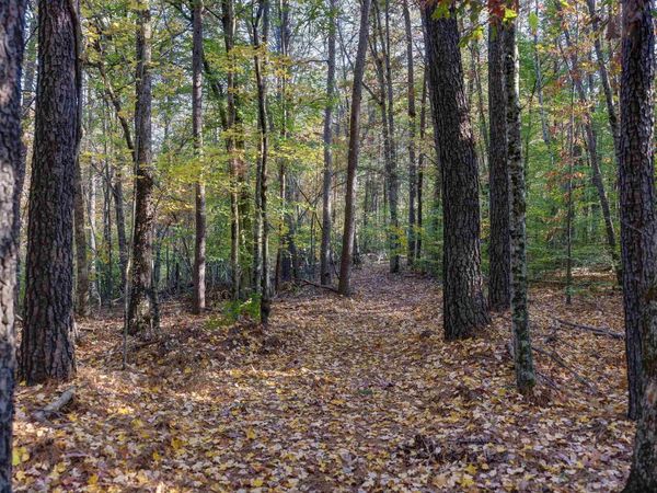 LOT B LINK EVANS LN, Earlysville, VA 22936