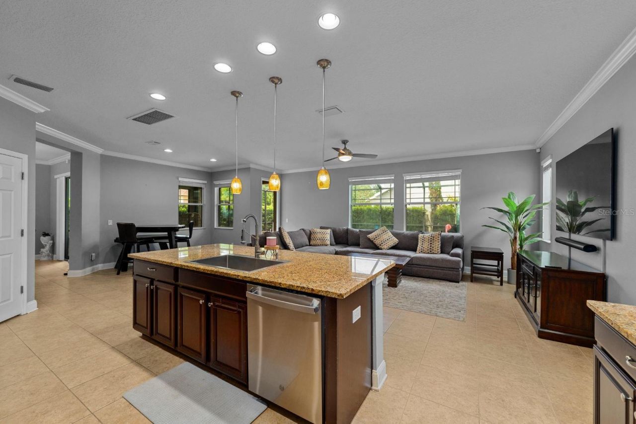 7029 Dowling Mill Circle, Tampa, FL 33625 Photo