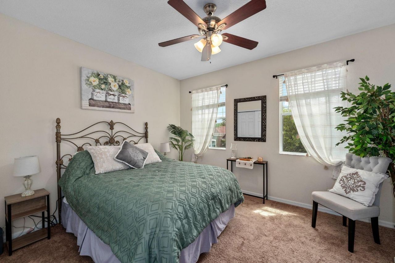 7029 Dowling Mill Circle, Tampa, FL 33625 Photo