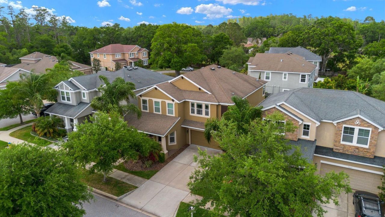 7029 Dowling Mill Circle, Tampa, FL 33625 Photo