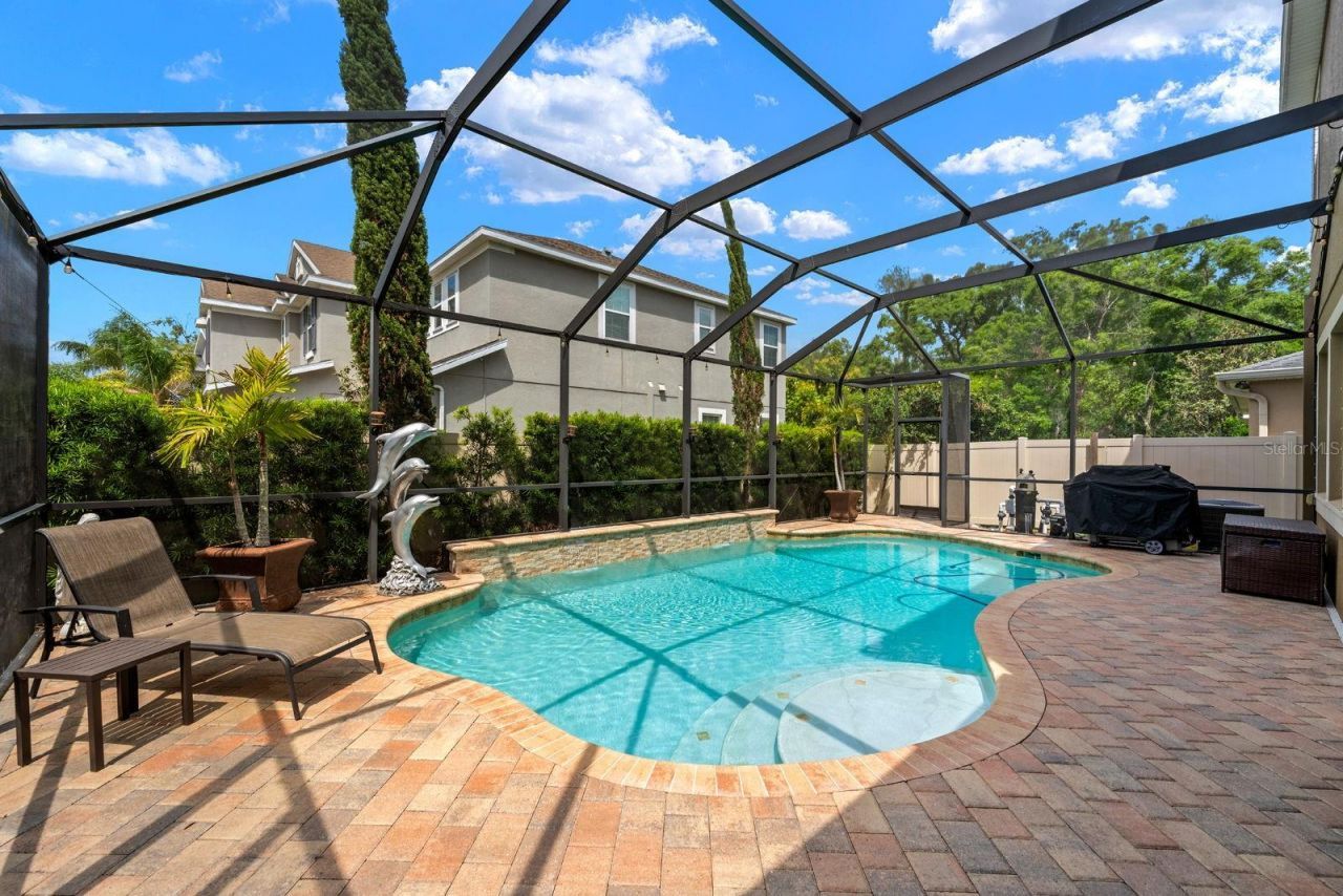 7029 Dowling Mill Circle, Tampa, FL 33625 Photo