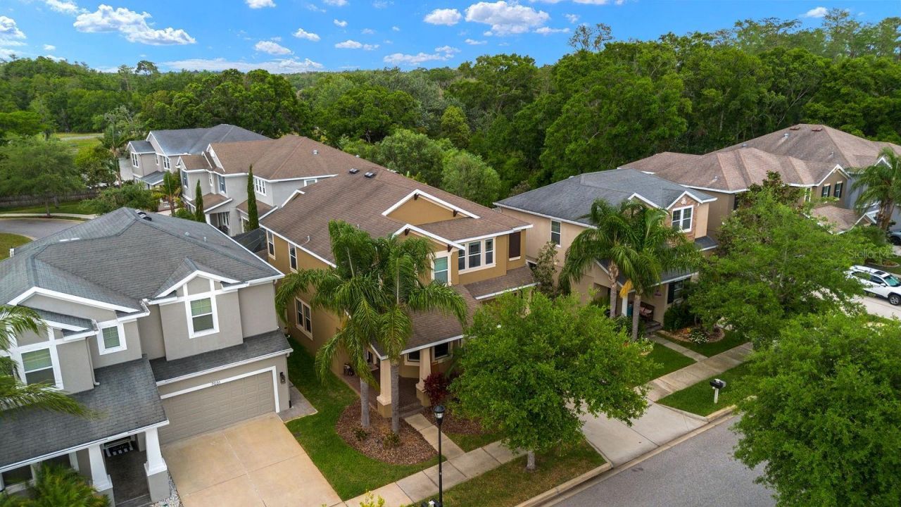 7029 Dowling Mill Circle, Tampa, FL 33625 Photo