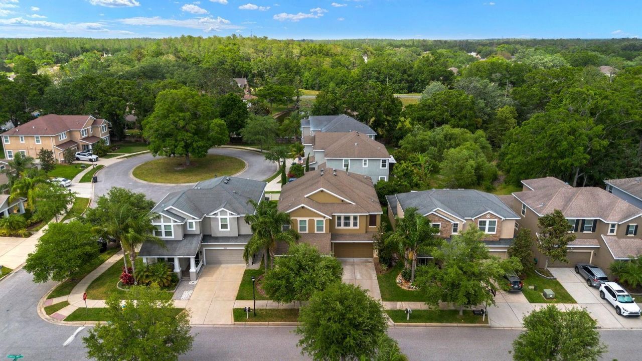 7029 Dowling Mill Circle, Tampa, FL 33625 Photo