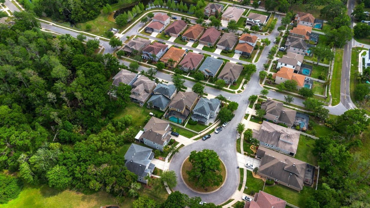 7029 Dowling Mill Circle, Tampa, FL 33625 Photo