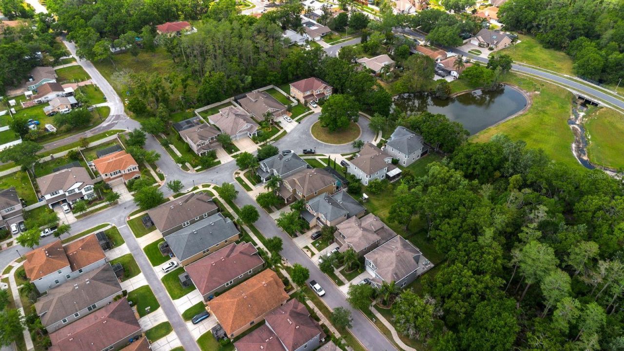 7029 Dowling Mill Circle, Tampa, FL 33625 Photo