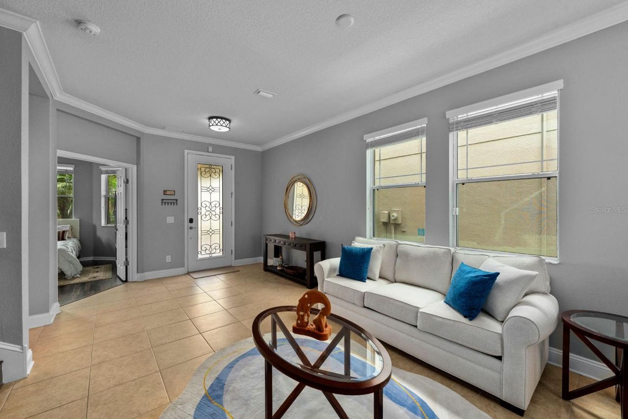 7029 Dowling Mill Circle, Tampa, FL 33625 Photo