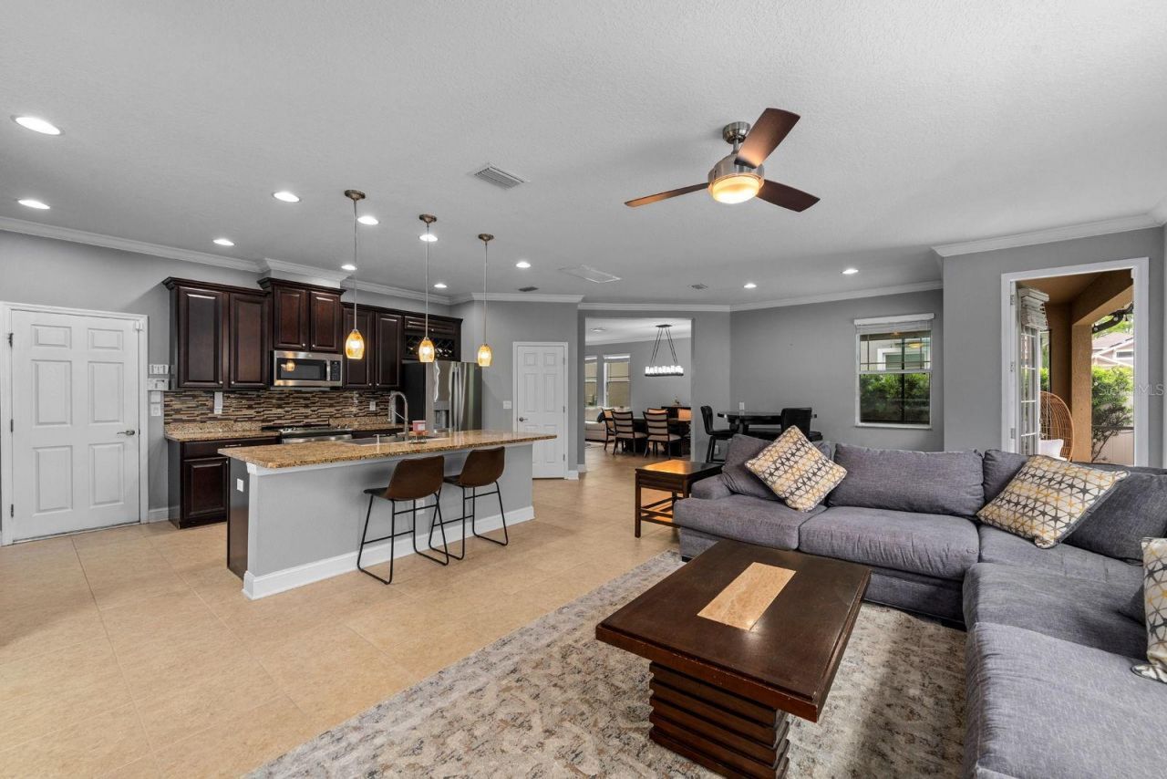 7029 Dowling Mill Circle, Tampa, FL 33625 Photo