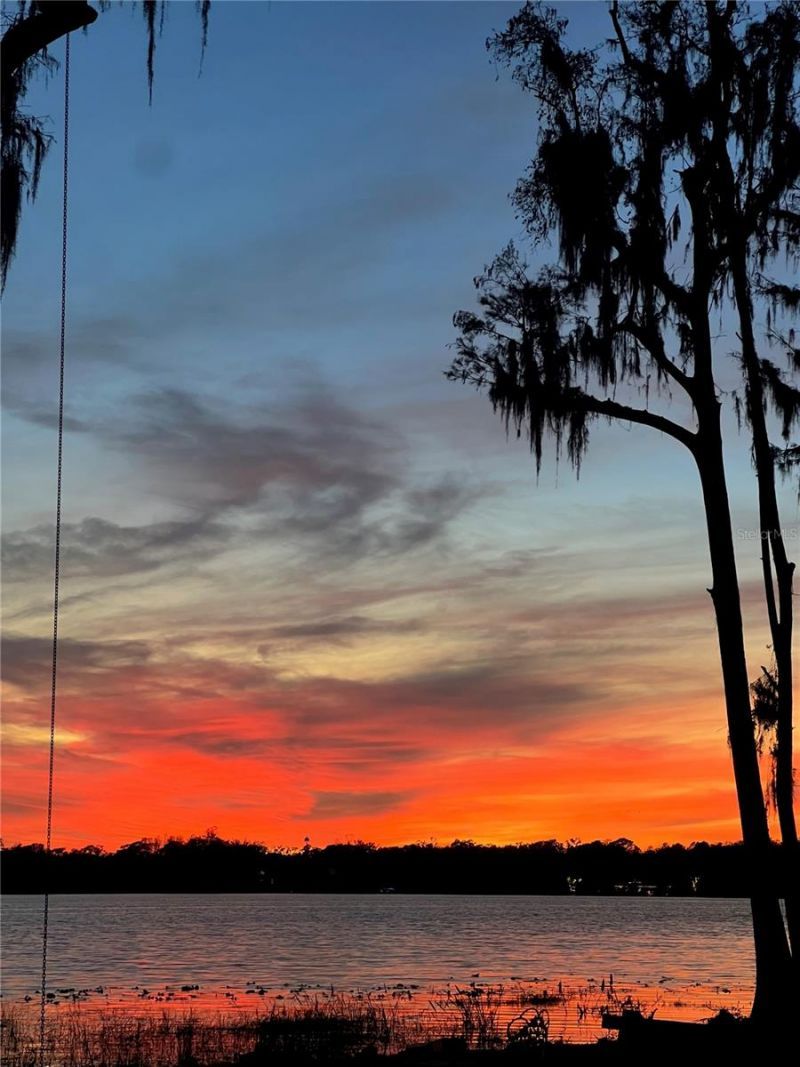 17924 Simms Road, Odessa, FL 33556 Photo