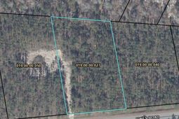 1550 Jones Road photo 4