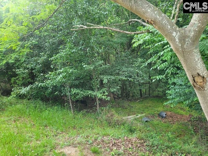 105 River Bluff Court  Photo 11