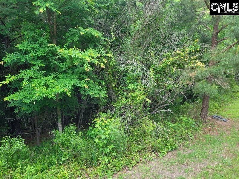 105 River Bluff Court  Photo 12