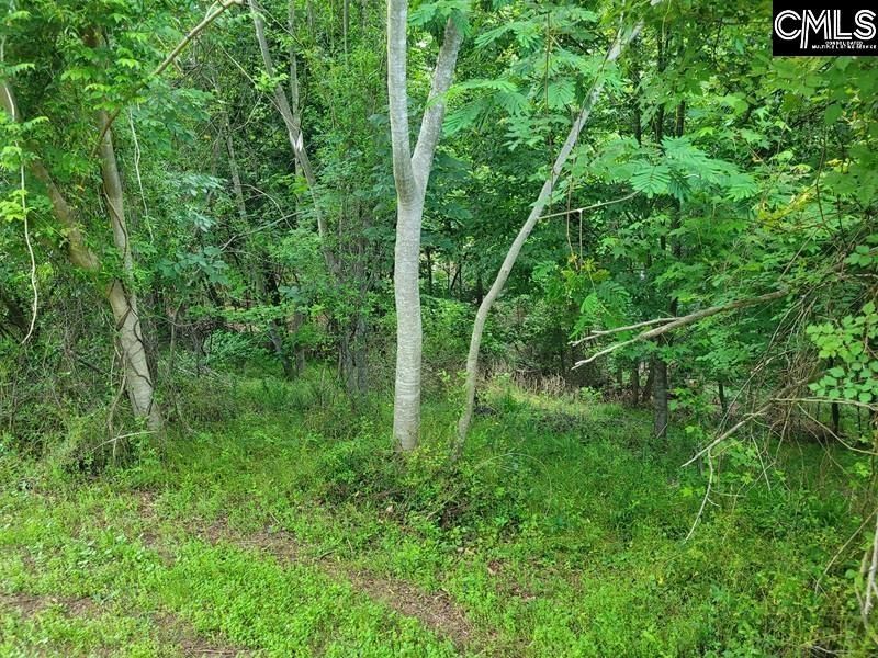 105 River Bluff Court  Photo 13